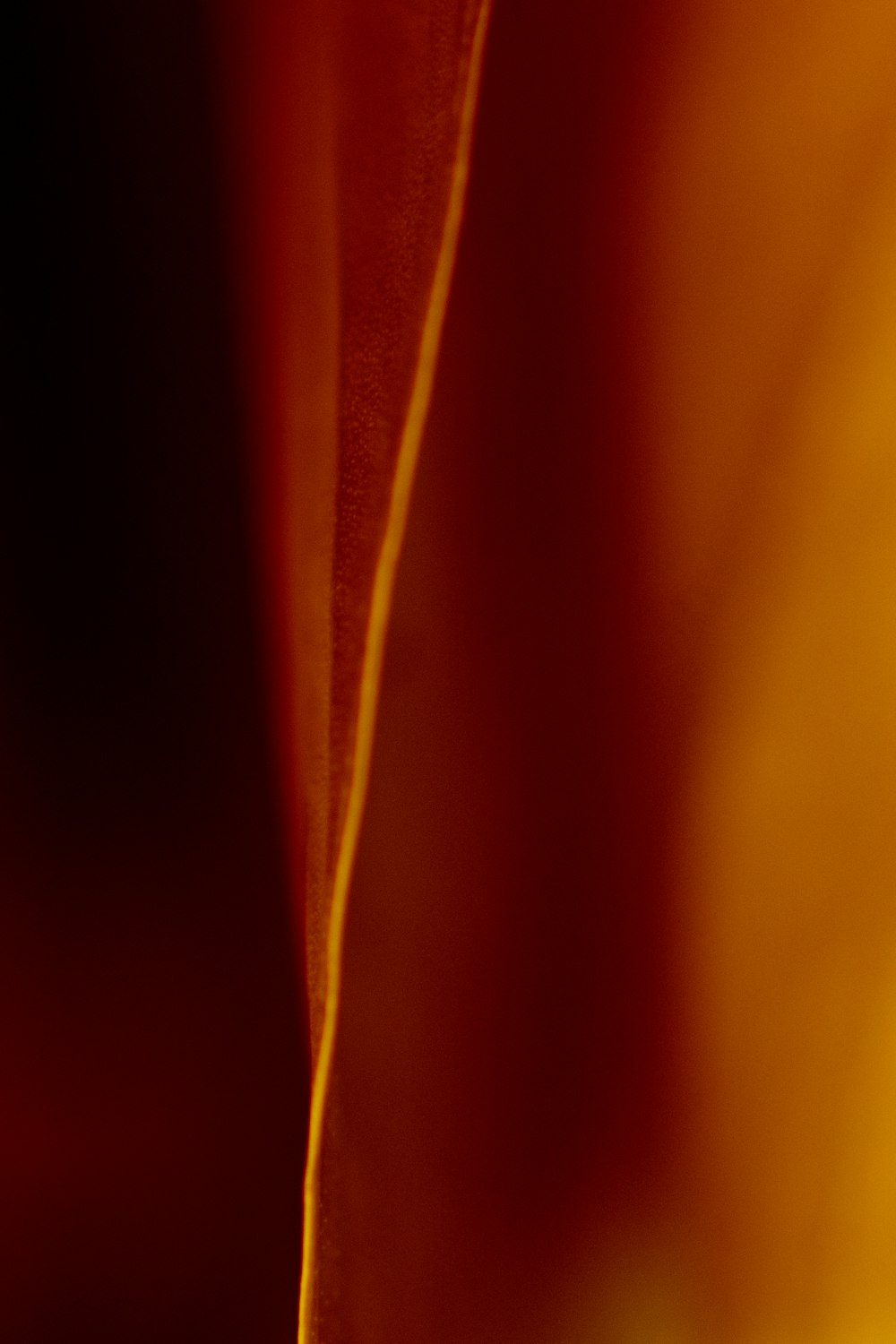 orange textile in close up photography