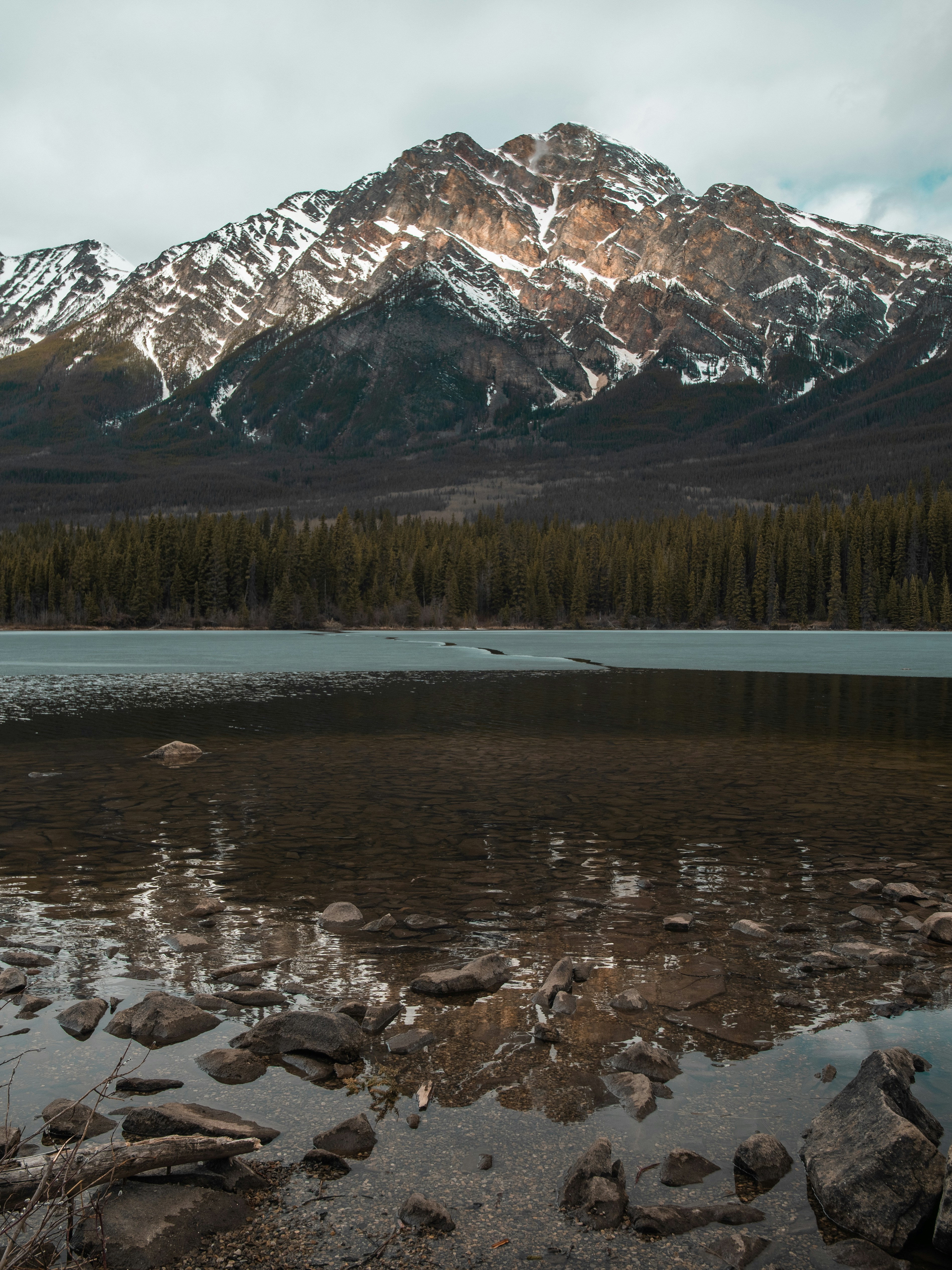 Photo by reddfrancisco