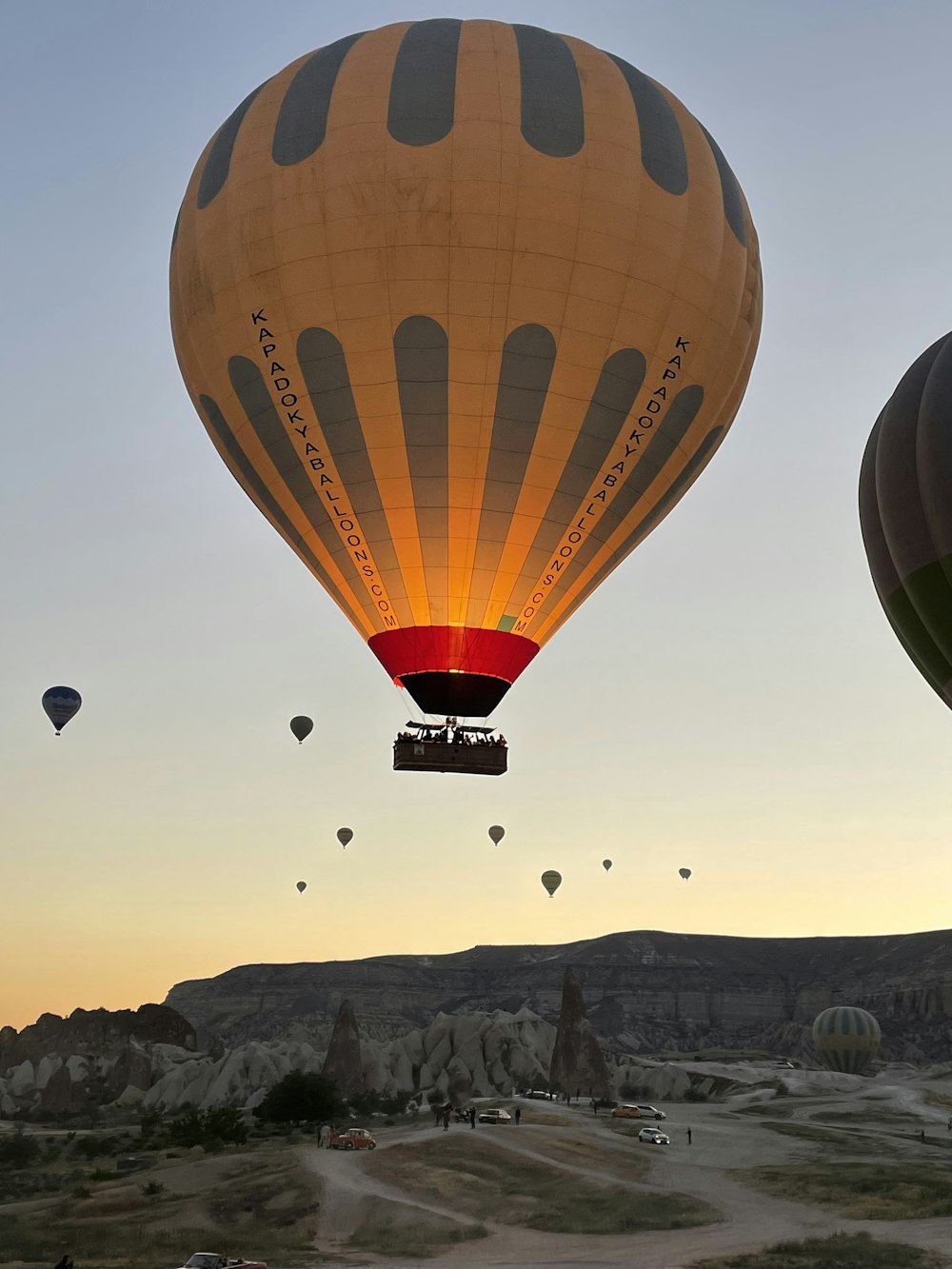 hot air balloons in the sky during daytime