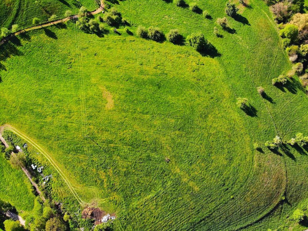 Veduta aerea del campo di erba verde