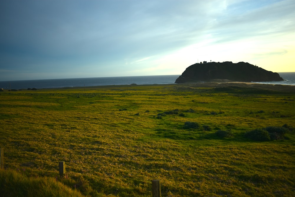 green grass field near body of water during daytime