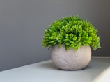 A round, textured pot holds a lush, green artificial plant on a white surface. The background is a smooth gray wall, and the lighting casts gentle shadows on the surface.