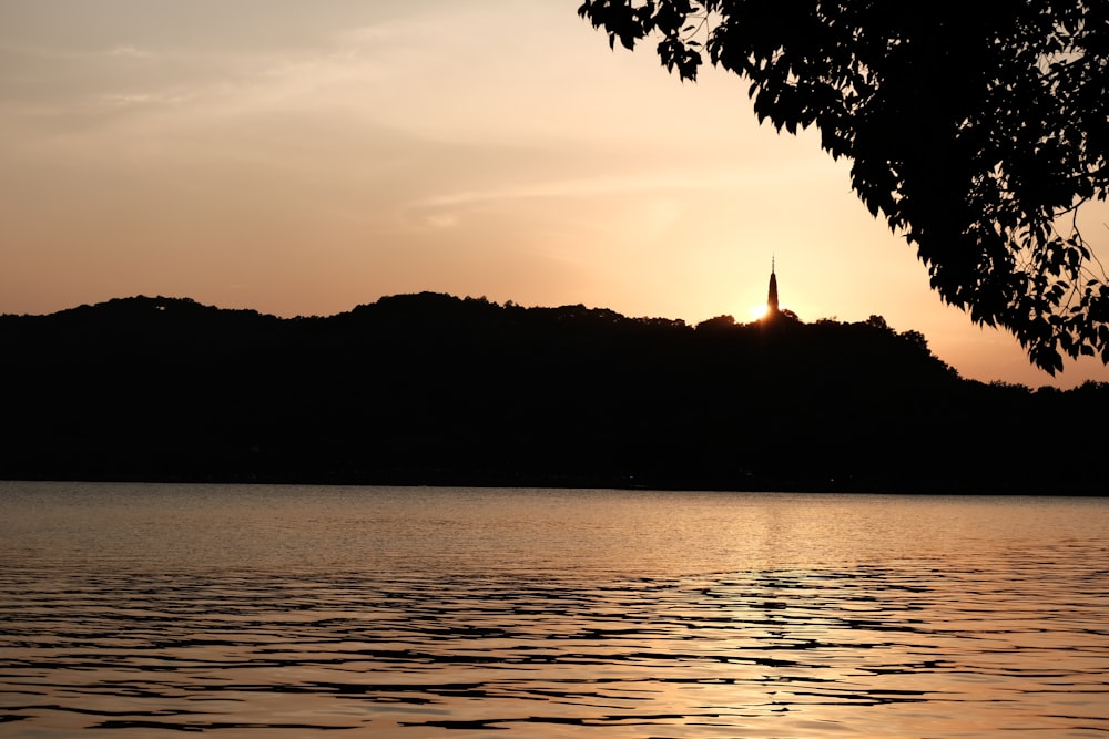 silhouette of trees near body of water during sunset