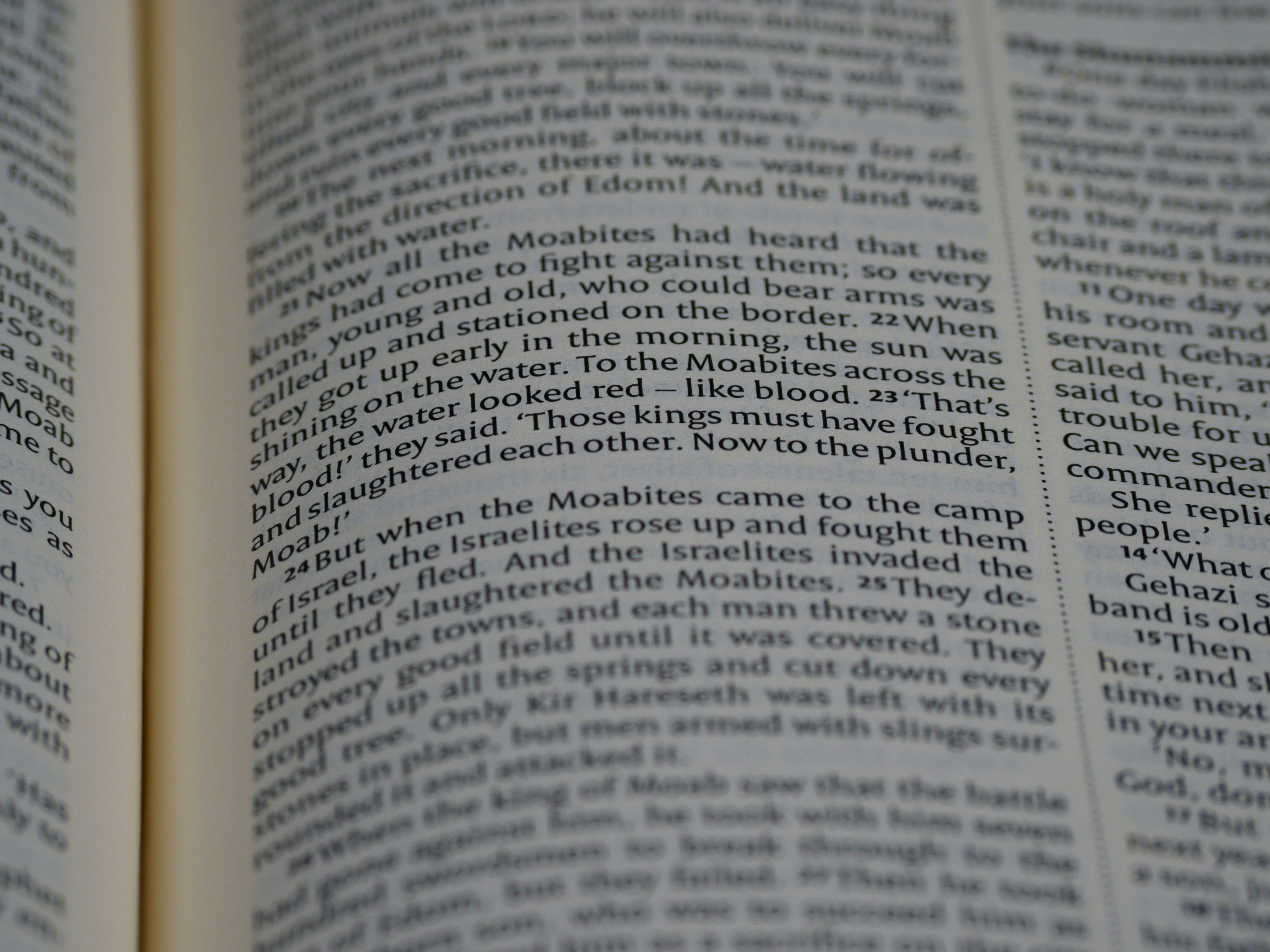 Photo by brett_jordan