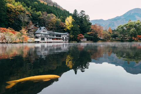 일본 · 후쿠오카 사진 3