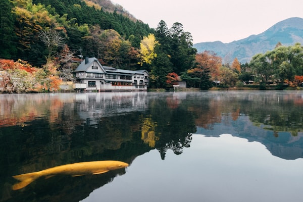 What to See in Yufuin: A Travel Guide