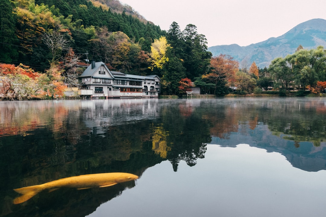 7 Strategies for Crafting a Well-Balanced Japan Itinerary Insights… — 7 Strategies for Crafting a…, photo 2