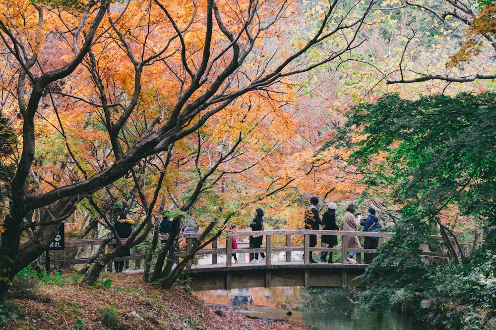 people standing on bridge near body of water during daytime