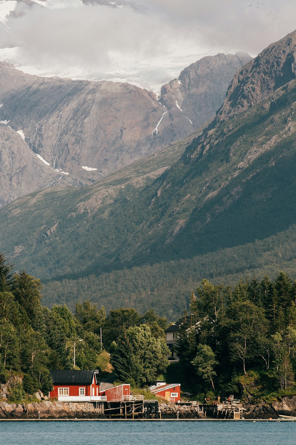 green trees and mountains during daytime