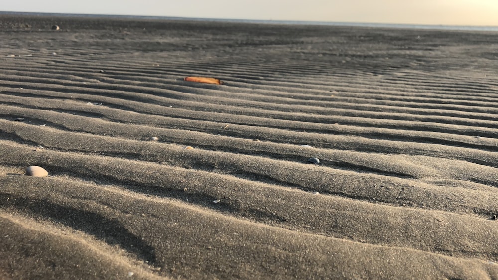 brown sand near body of water during daytime