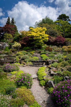 A beautifully landscaped garden with a variety of lush green plants, bushes, and colorful flowers. There are stone steps leading up a gentle slope, surrounded by greenery and blooming plants. A wooden bench is situated on the left side of the path, inviting visitors to sit and enjoy the serene atmosphere. The garden is bordered by tall trees with vibrant foliage, and the sky above is partly cloudy.