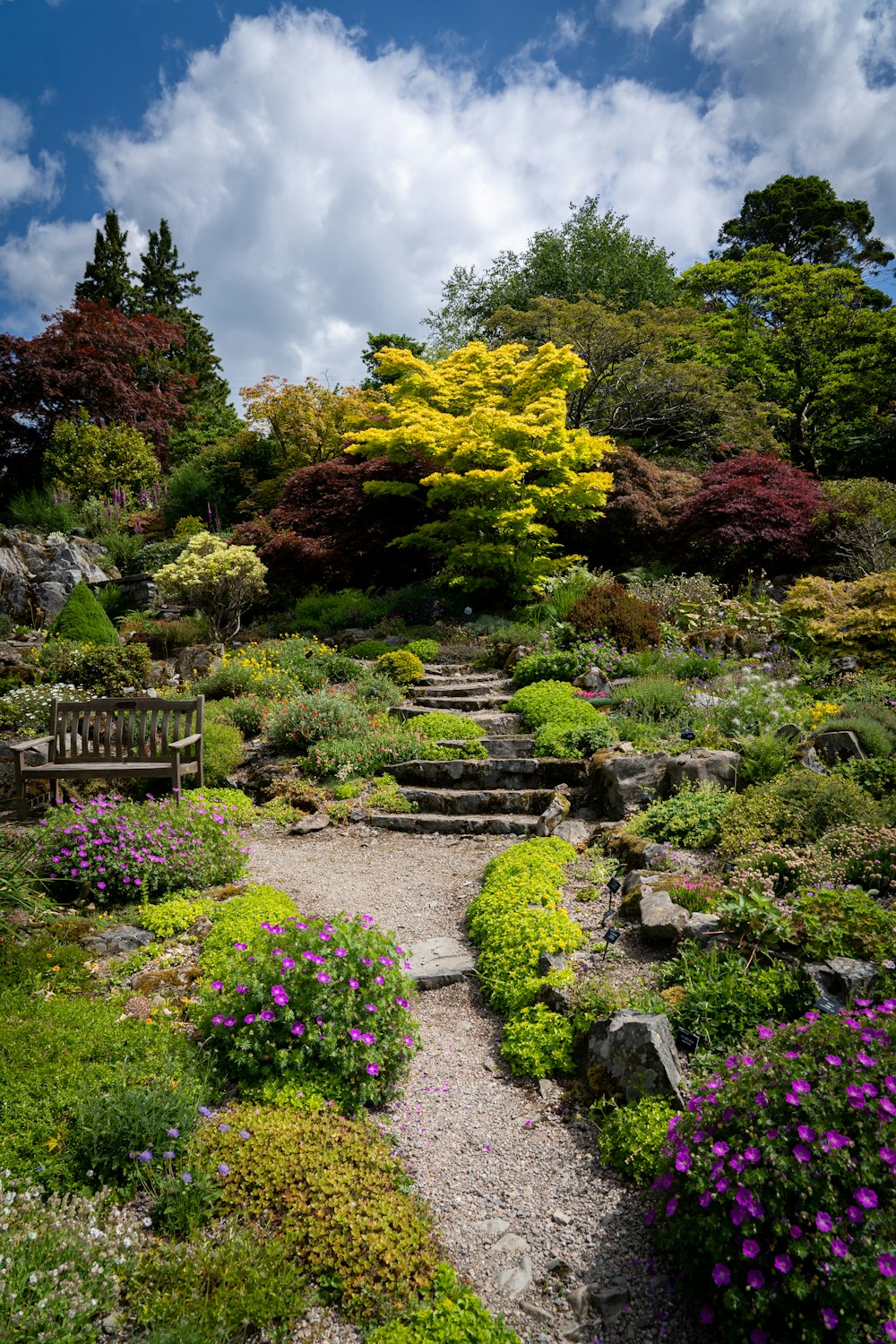 green and yellow trees and plants