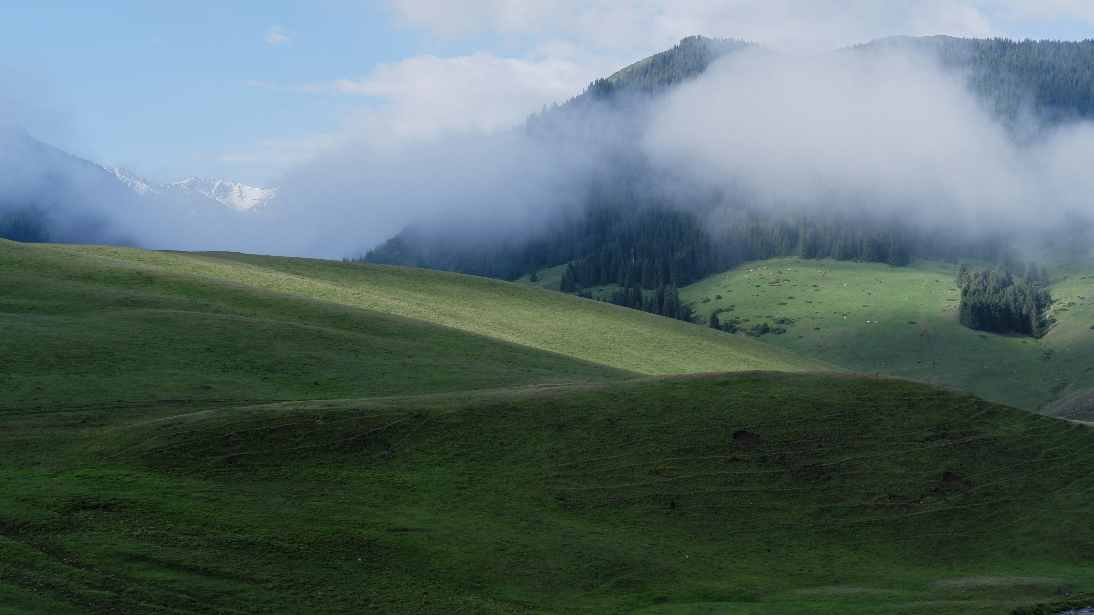 Photo by mary_borysova