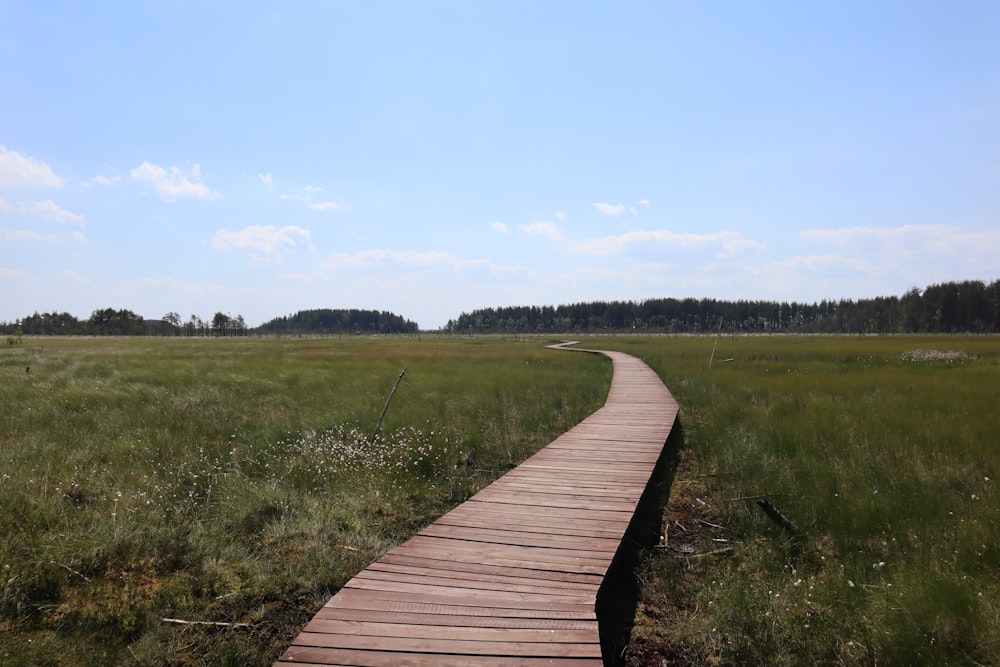 brown wooden pathway between green grass field during daytime