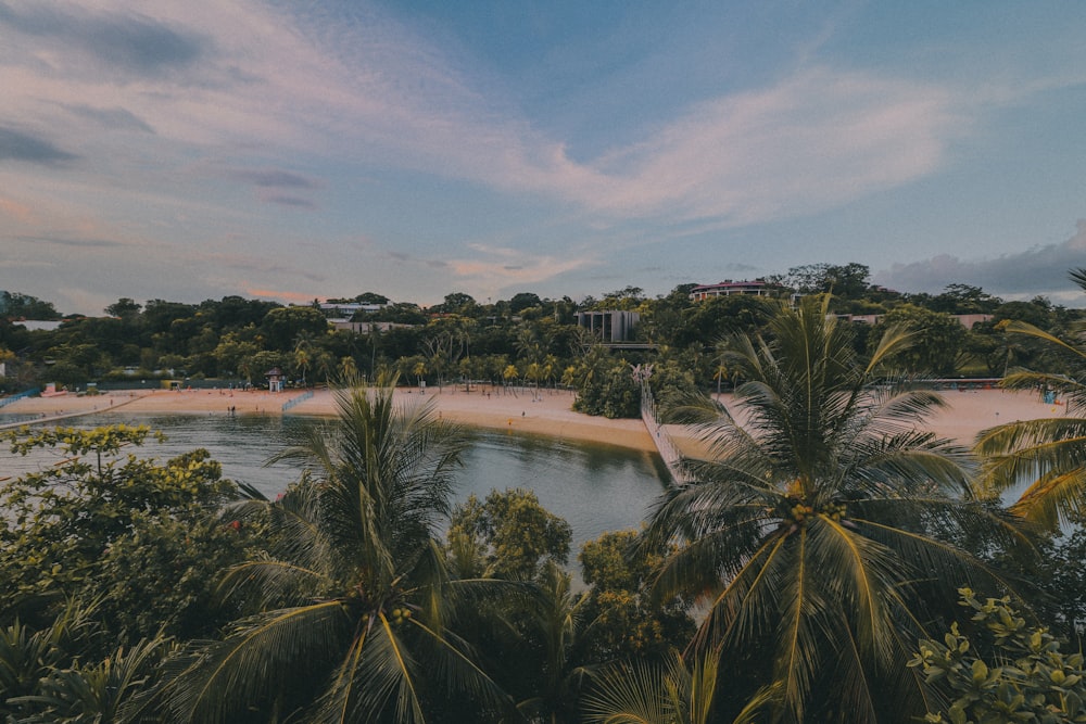 Sentosa Island View from Above with Palm Trees