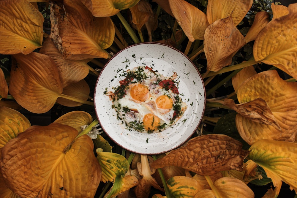 assiette ronde blanche avec une tomate rouge dessus