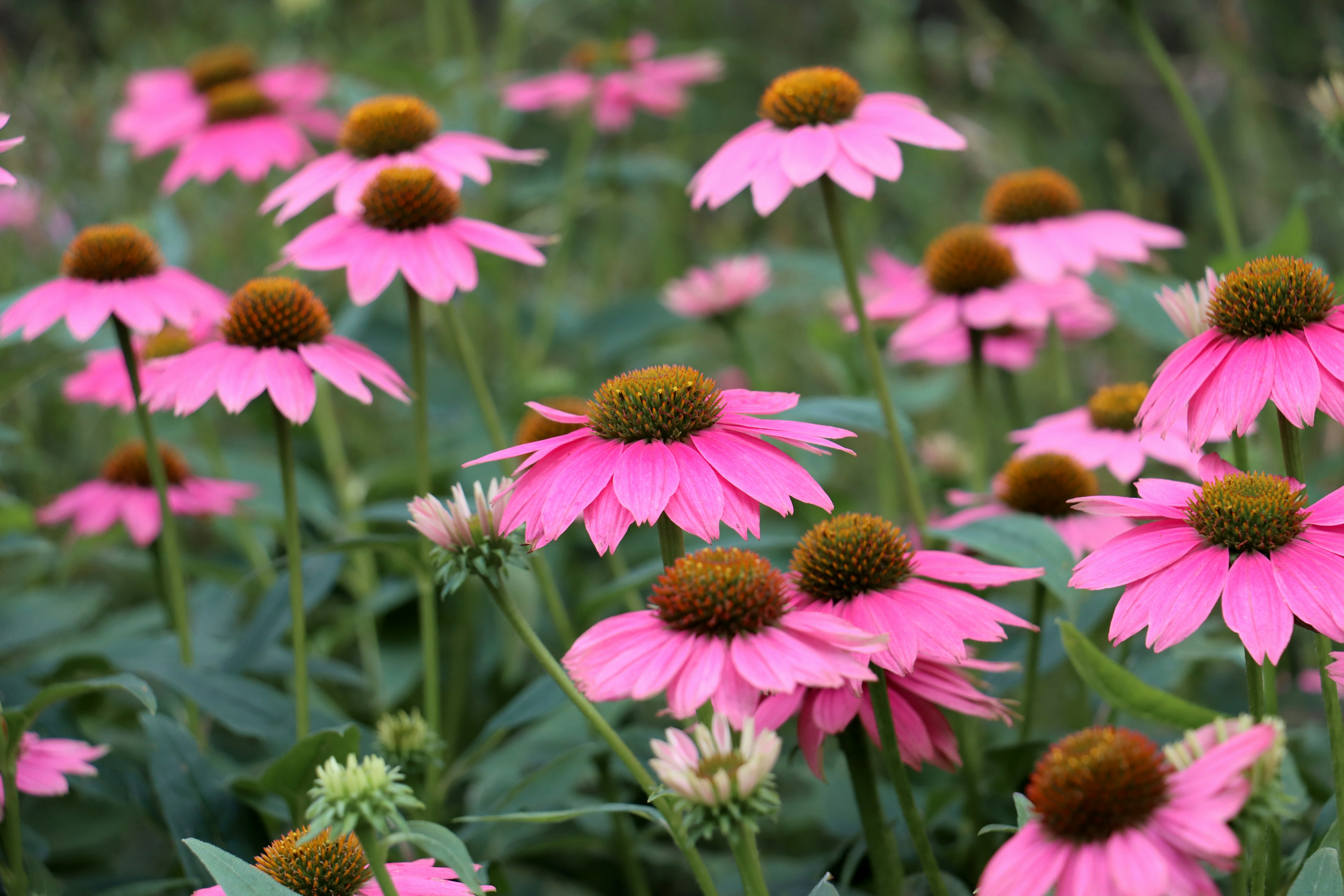 Photo by exploringzhongguo