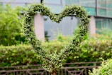 A carefully sculpted hedge in the shape of a heart, surrounded by lush green foliage. In the background, there is a modern glass building that subtly reflects the greenery.