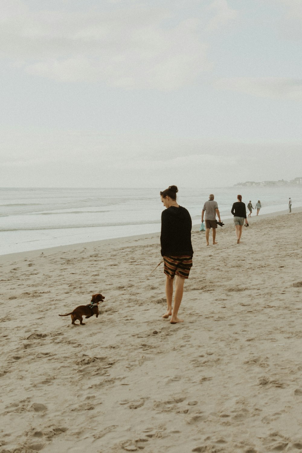 Uomo in maglietta nera che cammina sulla spiaggia con 2 cani durante il giorno
