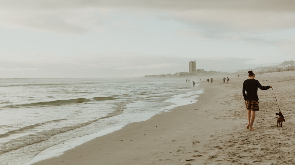 people walking on beach during daytime