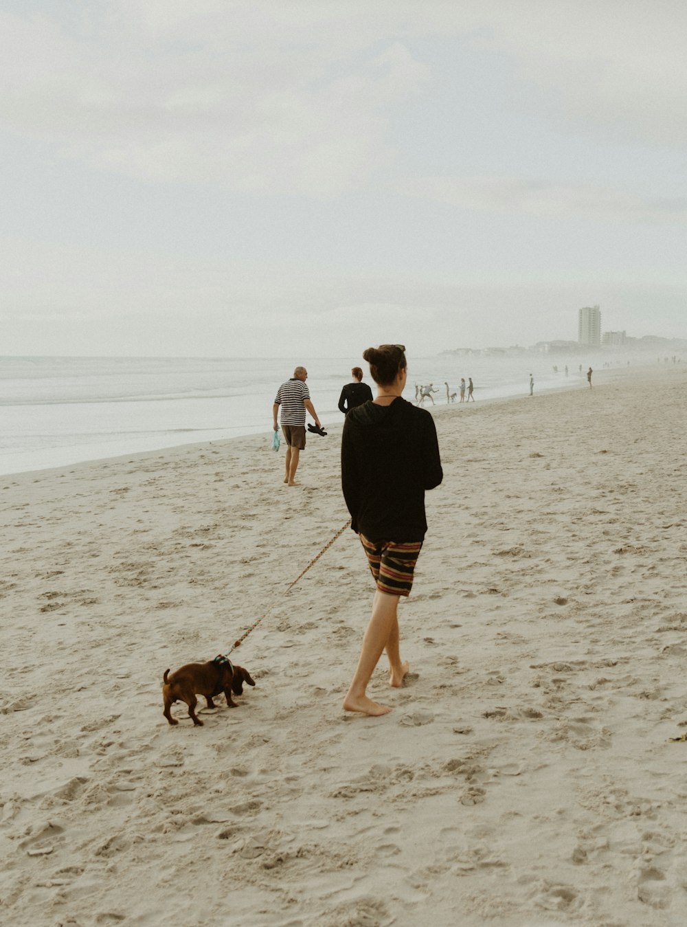 woman in black long sleeve shirt walking on beach with brown short coated dog during daytime