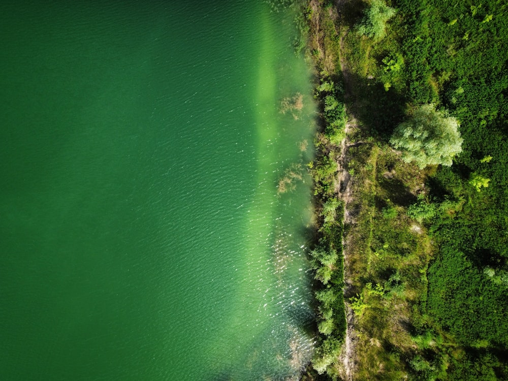 green body of water near green grass field during daytime