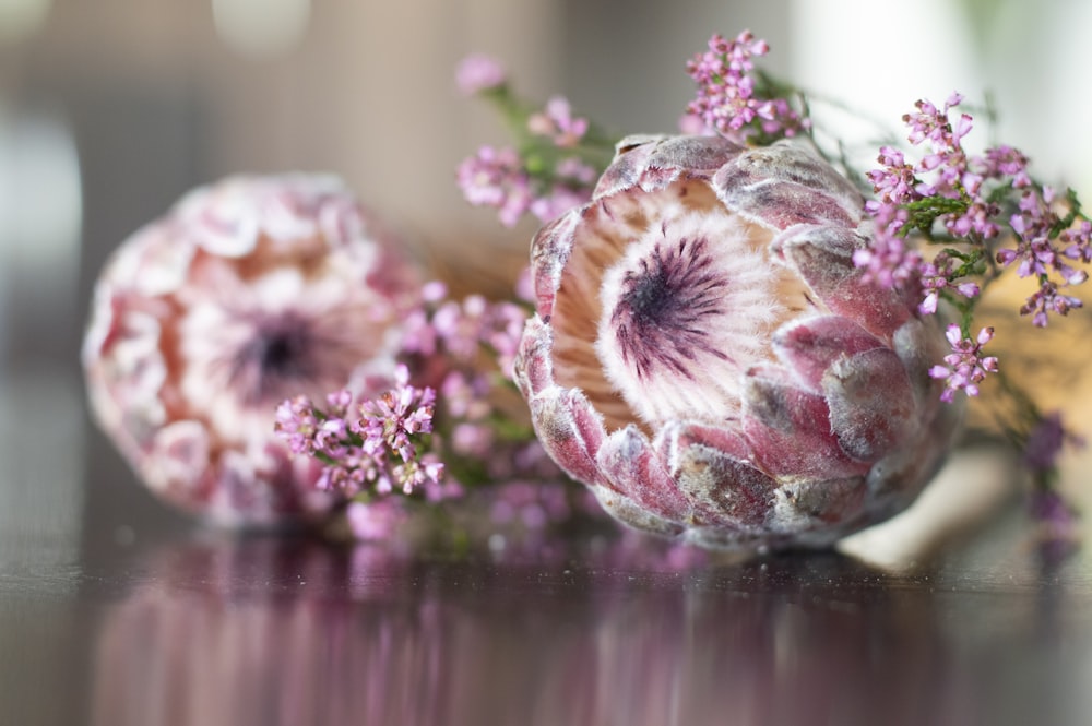 pink and white flowers on brown wooden table
