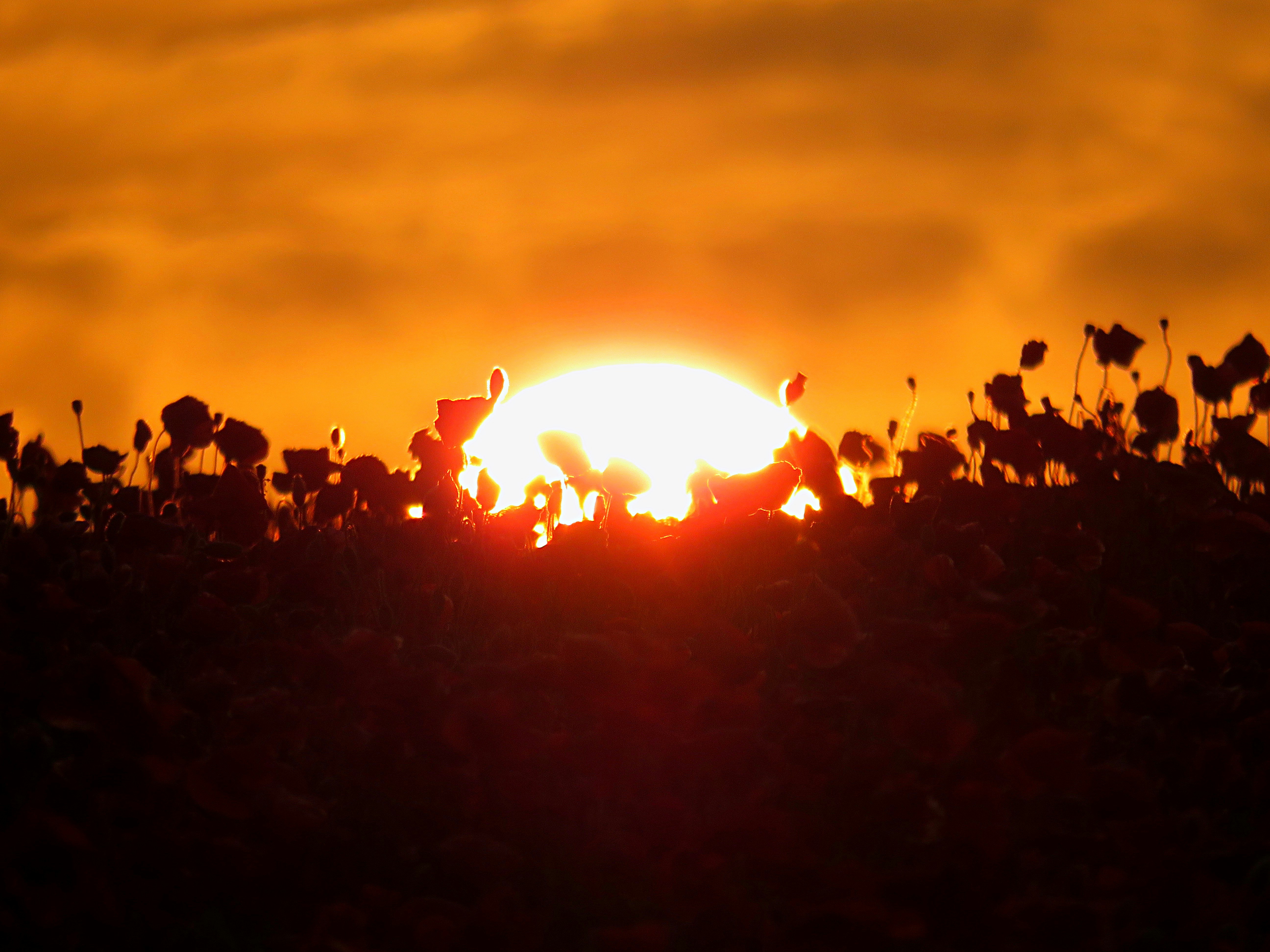 Photo by staceyhfc10