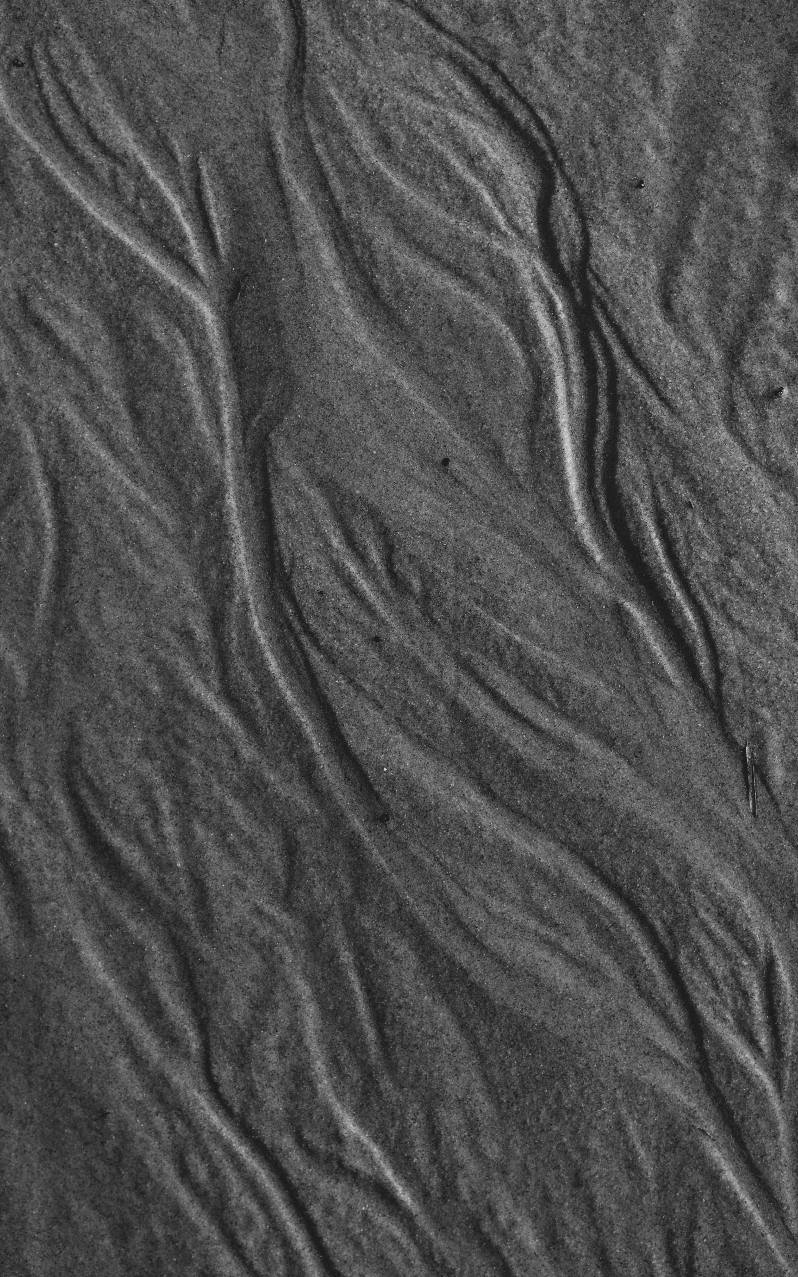 Photo by moisamihai092