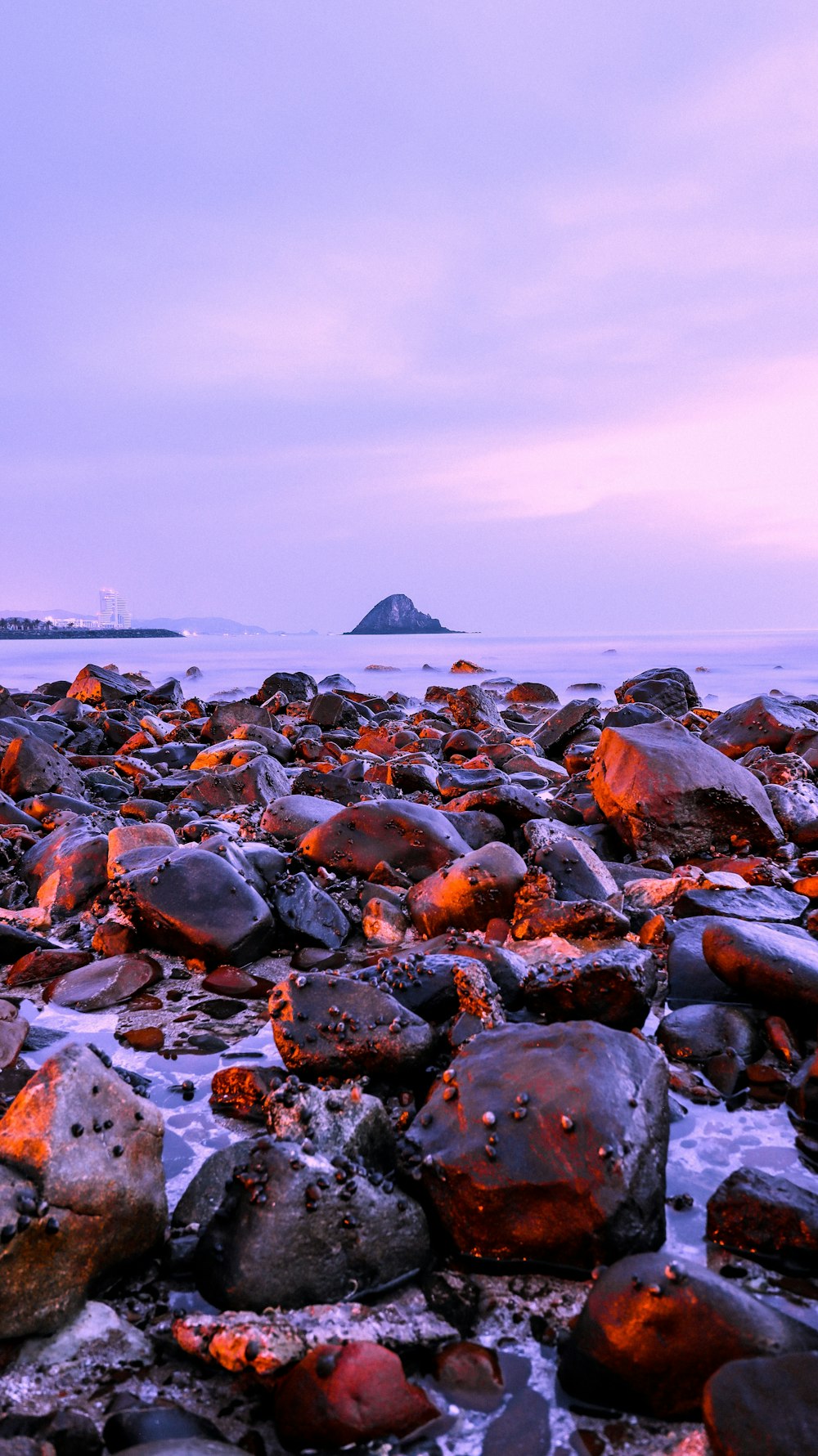 black stones on beach during daytime