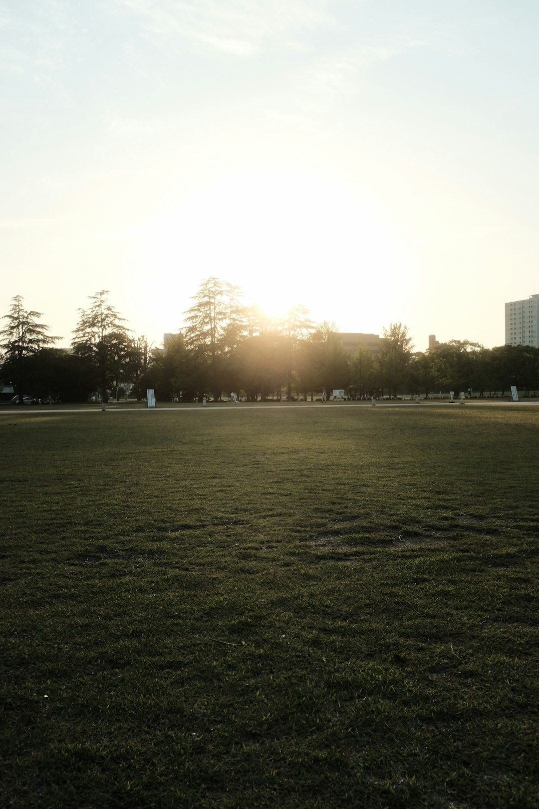 green grass field with trees and buildings in the distance