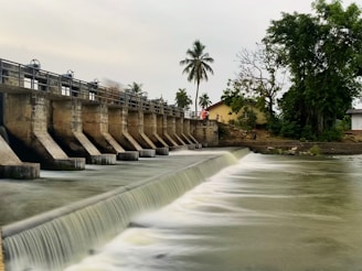 A dam with multiple sluice gates releasing water into a river, surrounded by lush greenery and trees, including a prominent palm tree. Buildings are seen in the background, suggesting a rural or semi-urban setting.