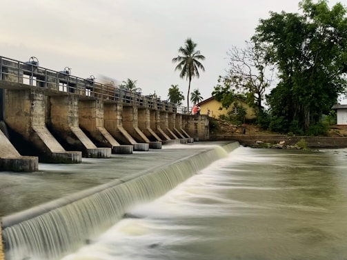 A dam with multiple sluice gates releasing water into a river, surrounded by lush greenery and trees, including a prominent palm tree. Buildings are seen in the background, suggesting a rural or semi-urban setting.