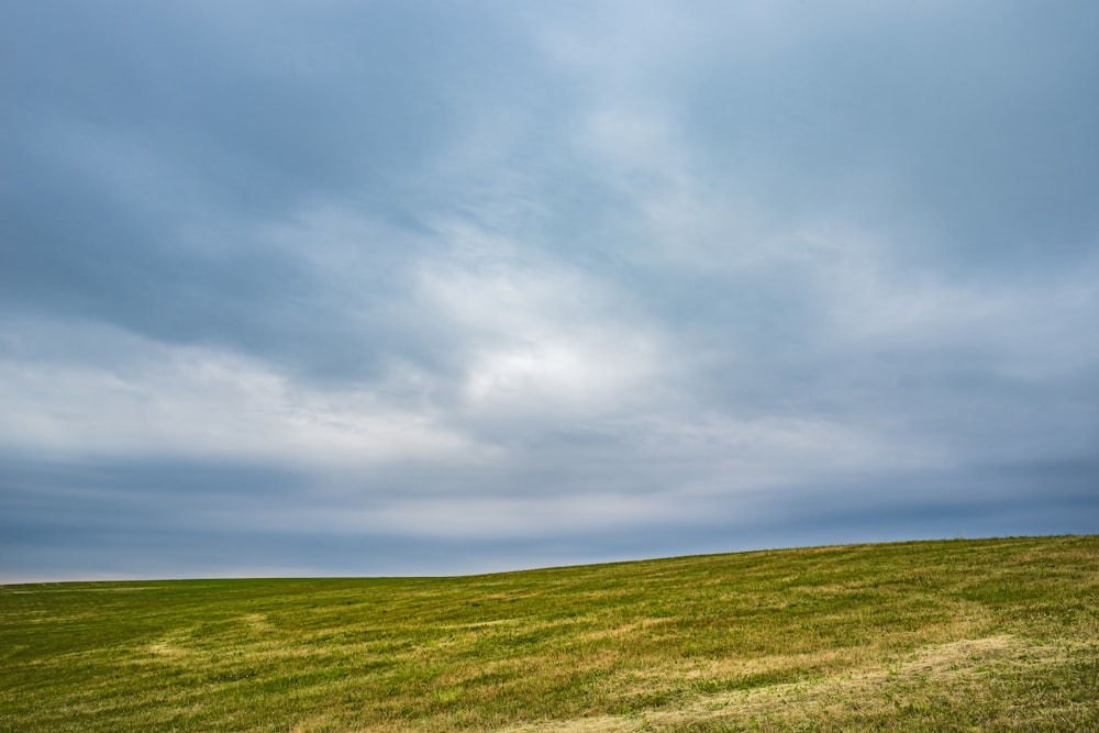 a grassy field under a cloudy blue sky