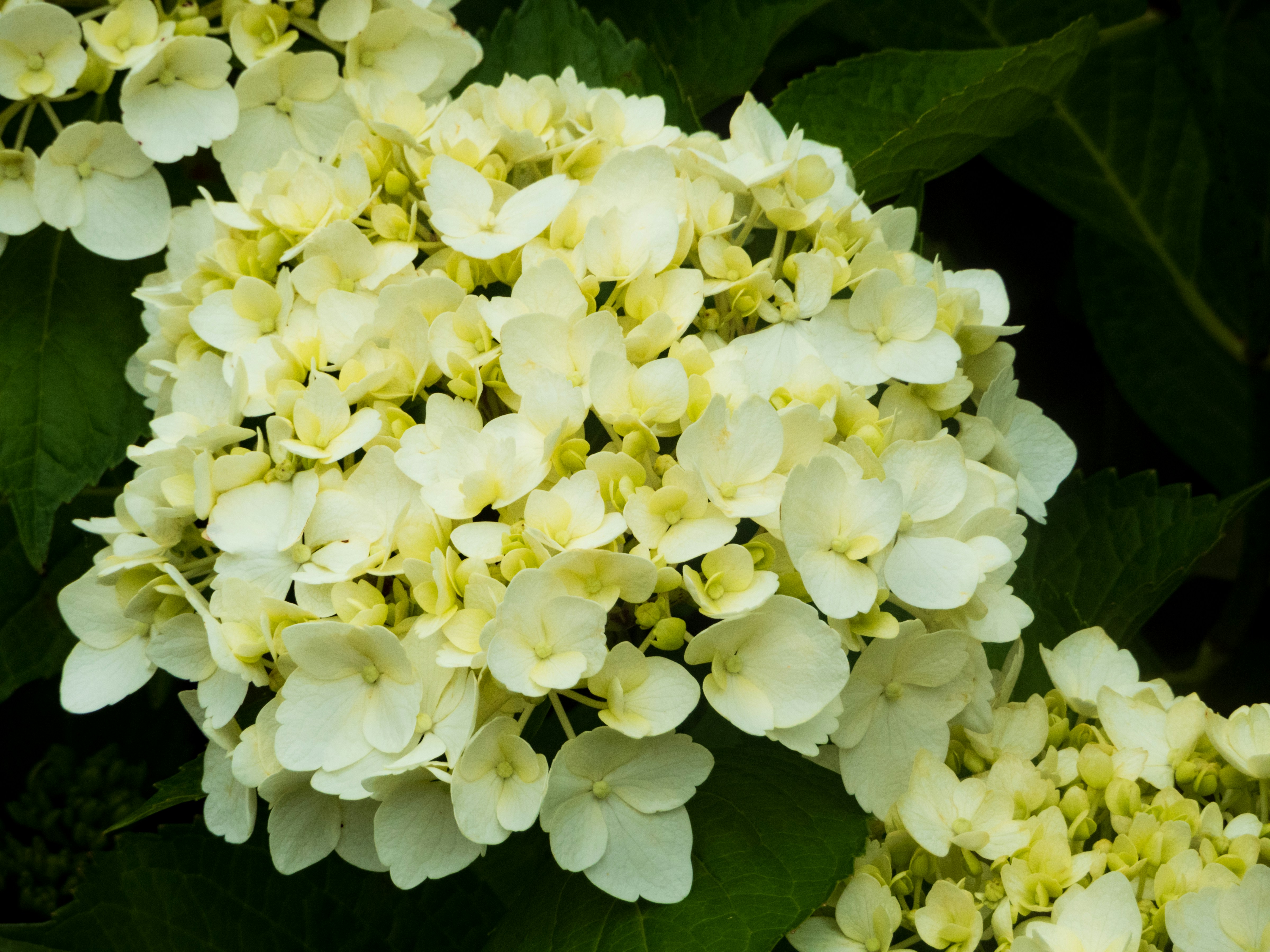 Photo by heppoko_yama