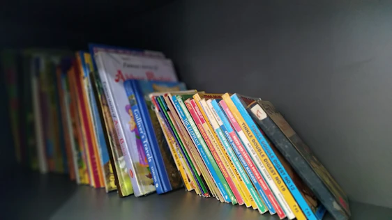 books on brown wooden shelf