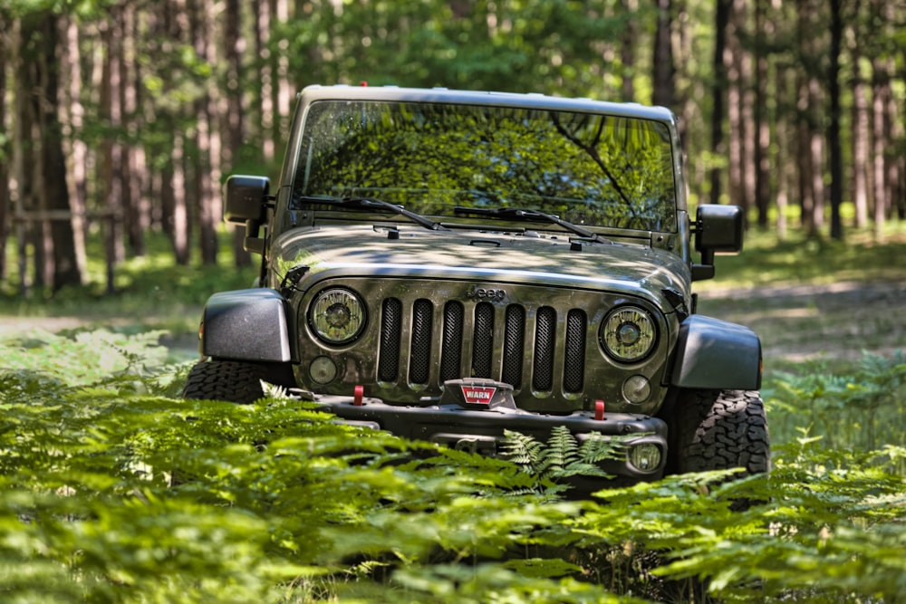 Schwarzer Jeep Wrangler tagsüber auf grünem Rasen