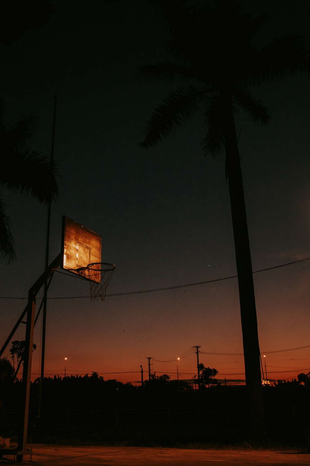 silhouette of palm trees during sunset