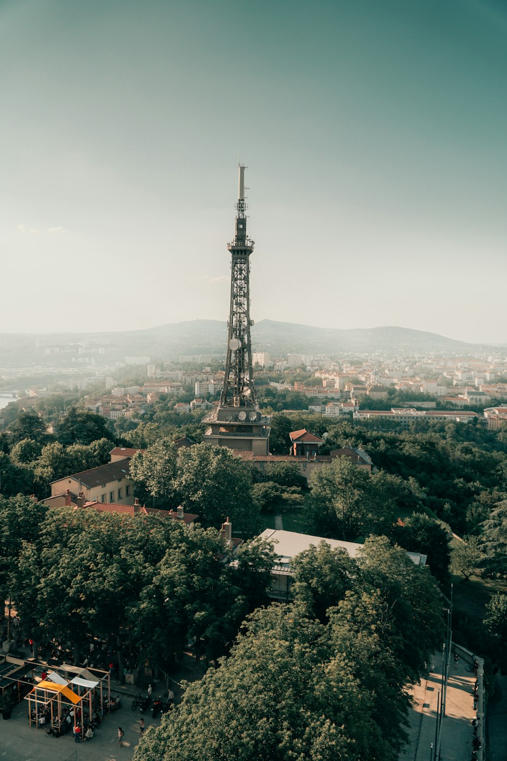 aerial view of green trees and buildings during daytime