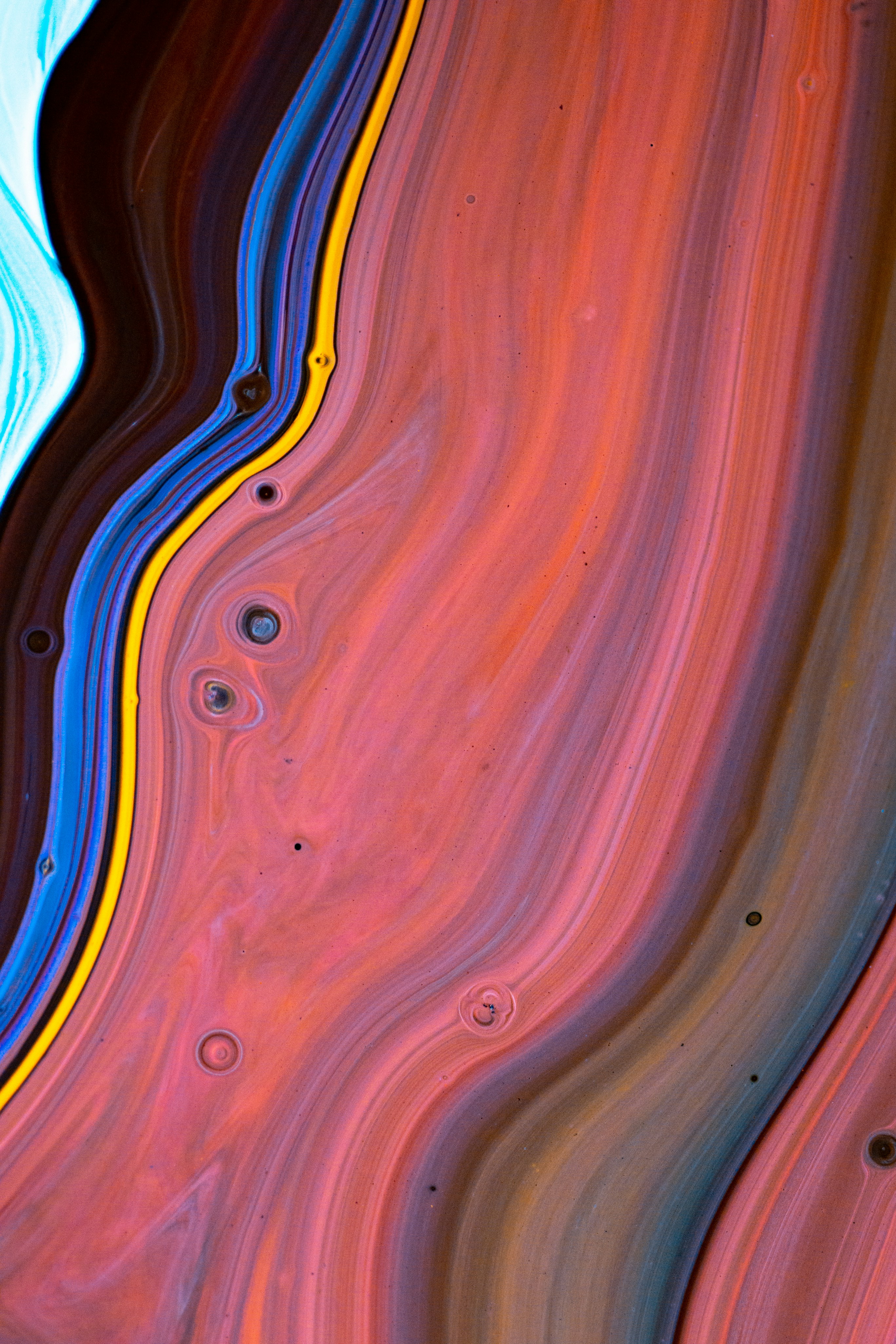 Photo by solenfeyissa