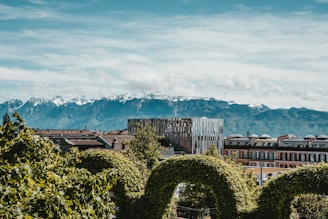 green trees and plants near brown concrete building under blue sky during daytime