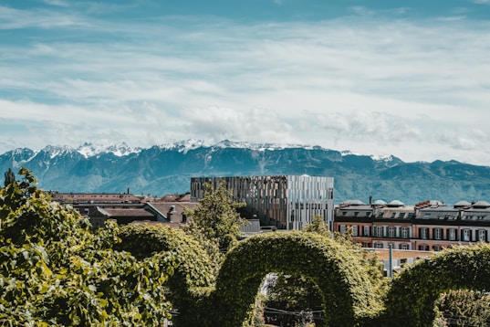 green trees and plants near brown concrete building under blue sky during daytime