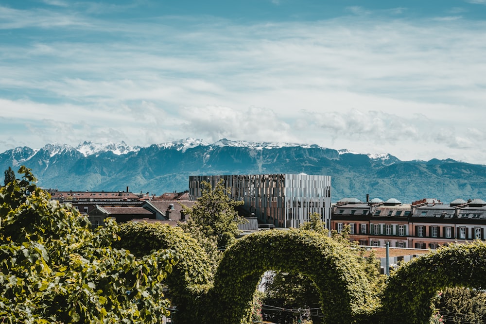 green trees and plants near brown concrete building under blue sky during daytime