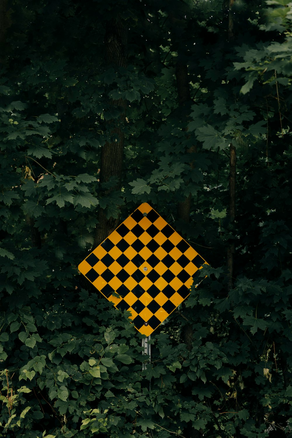 yellow and black checkered flag on green leaves