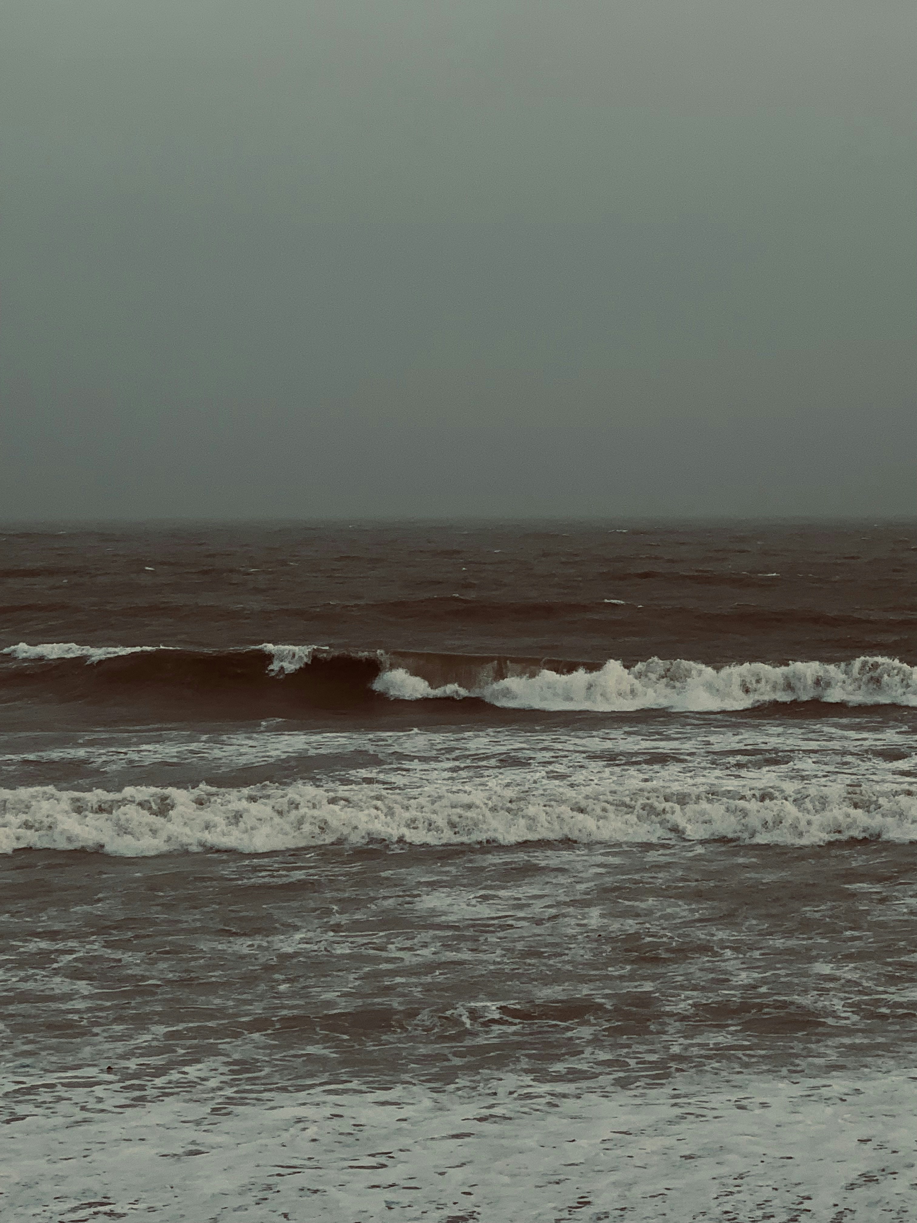 Photo by laamsylilly