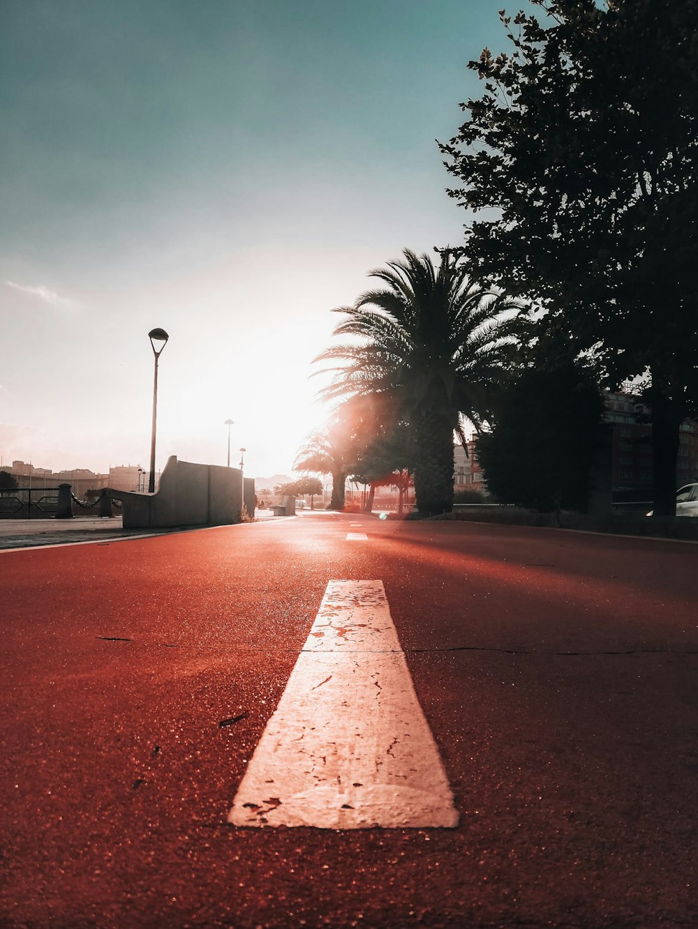 empty road between trees during daytime