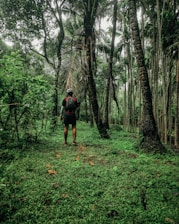 A traveler wearing VR goggles exploring a lush green forest with cultural landmarks.