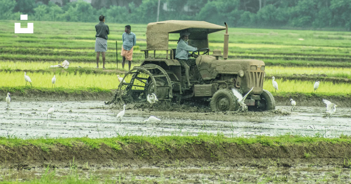 People riding on green tractor on green grass field during daytime ...
