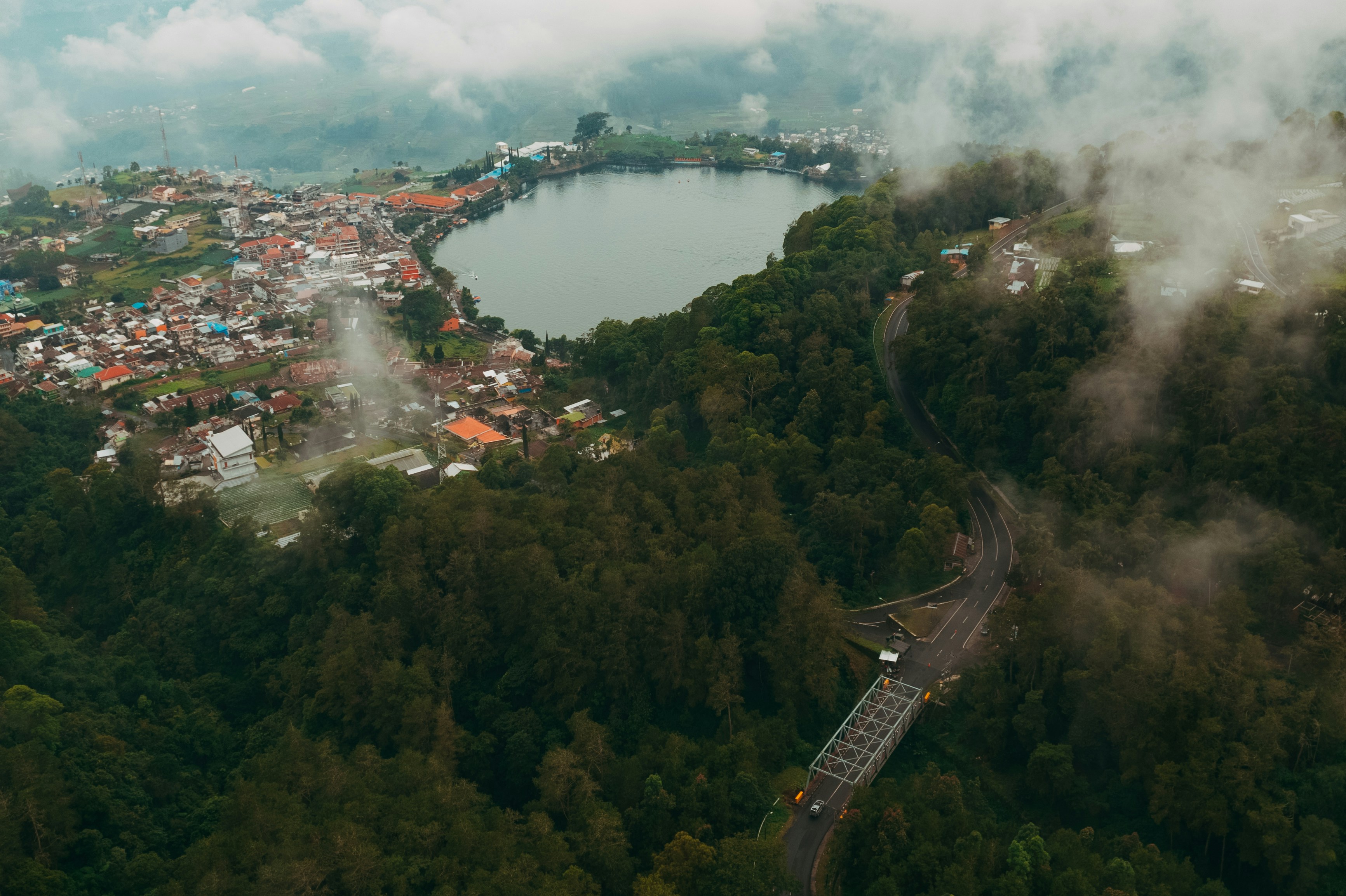 Vista aérea de árboles verdes cerca del cuerpo de agua durante el día