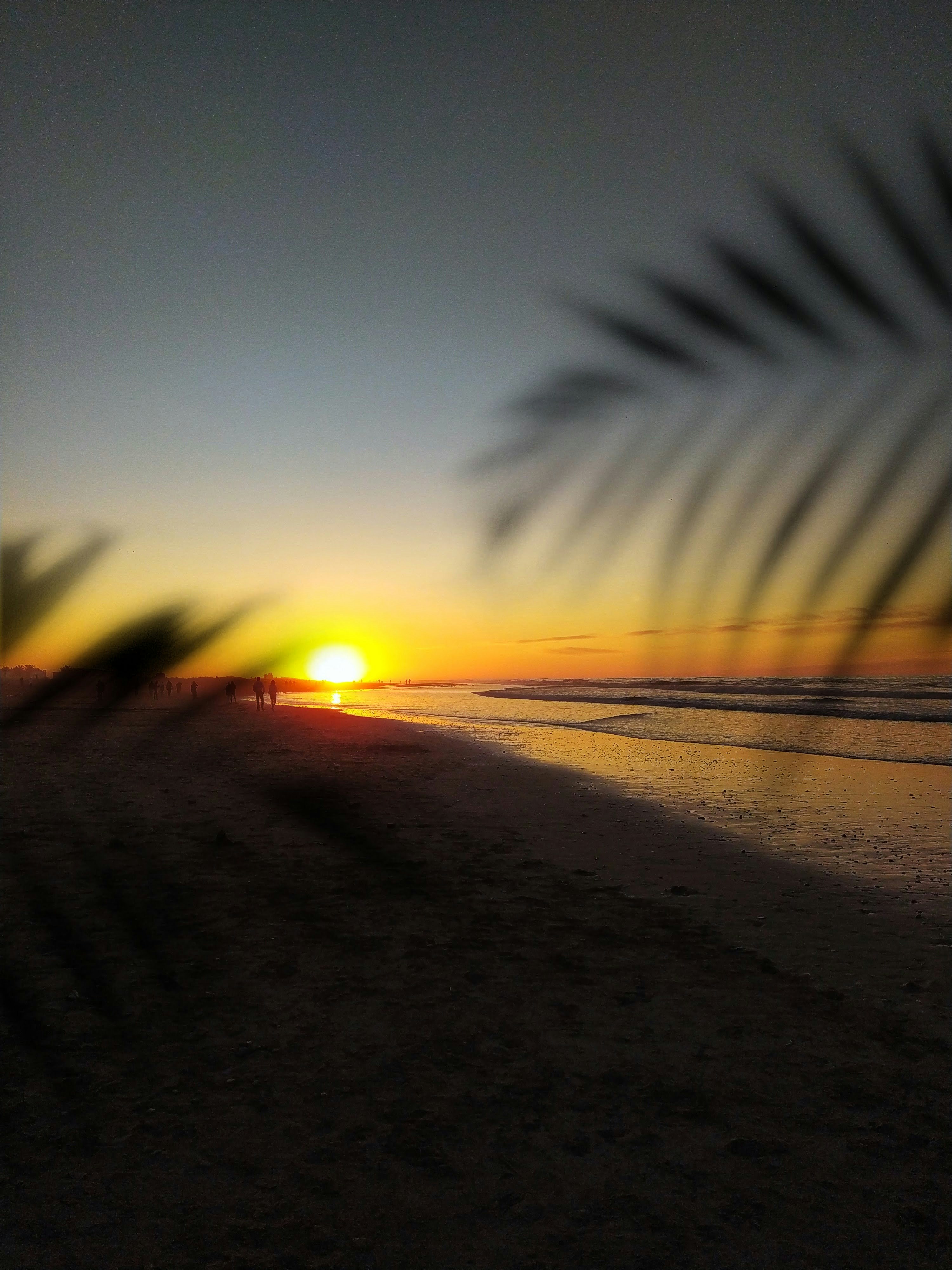 ビーチに沈む夕日の写真 Unsplashで見つけるブルービーチの無料写真